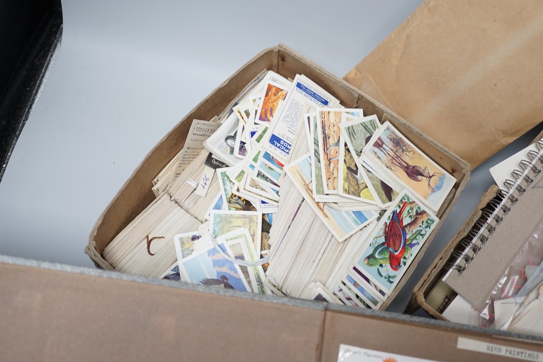 Cigarette and tea cards and loose stamps, including sets of British birds by Phillips, Ogdens and Carrolls